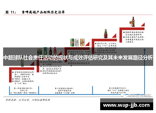 中超球队社会责任活动的现状与成效评估研究及其未来发展路径分析