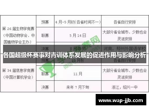 各国超级杯赛事对青训体系发展的促进作用与影响分析
