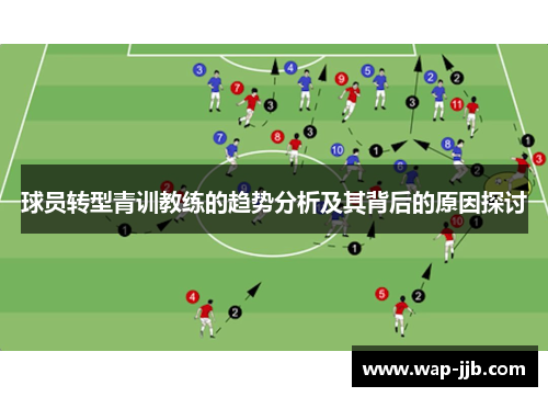 球员转型青训教练的趋势分析及其背后的原因探讨