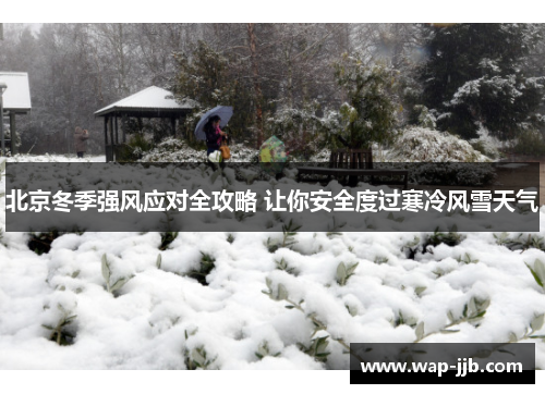 北京冬季强风应对全攻略 让你安全度过寒冷风雪天气