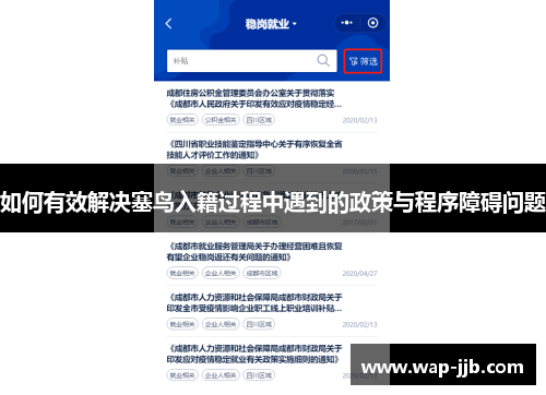 如何有效解决塞鸟入籍过程中遇到的政策与程序障碍问题